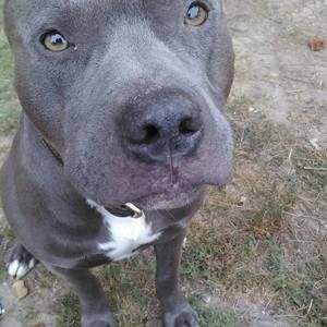 Meet your Posher, Brent